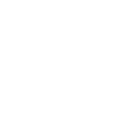 ikona2